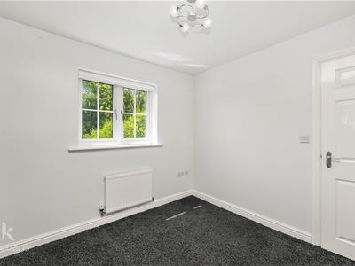 Picture 24
